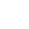 WordPress Webáruház Készítés
