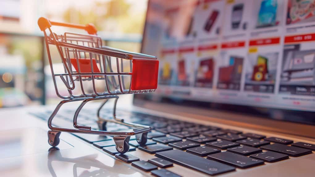 Bérelhető vagy egyedi webáruház? Megmutatjuk a különbségeket!
